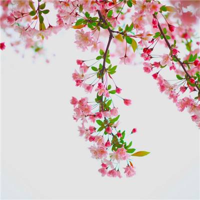 乐鱼游戏app在线登录app下载